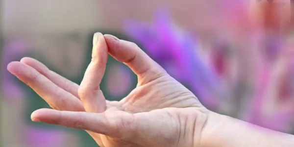 प्रथ्वी मुद्रा प्रथ्वी मुद्रा